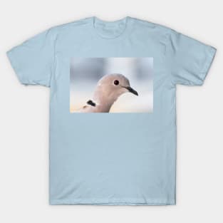 Island Dove T-Shirt